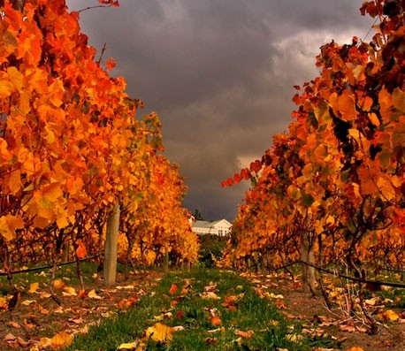 不间断呼叫软件