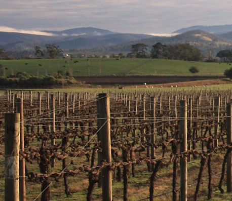 虚拟号码短信发送平台